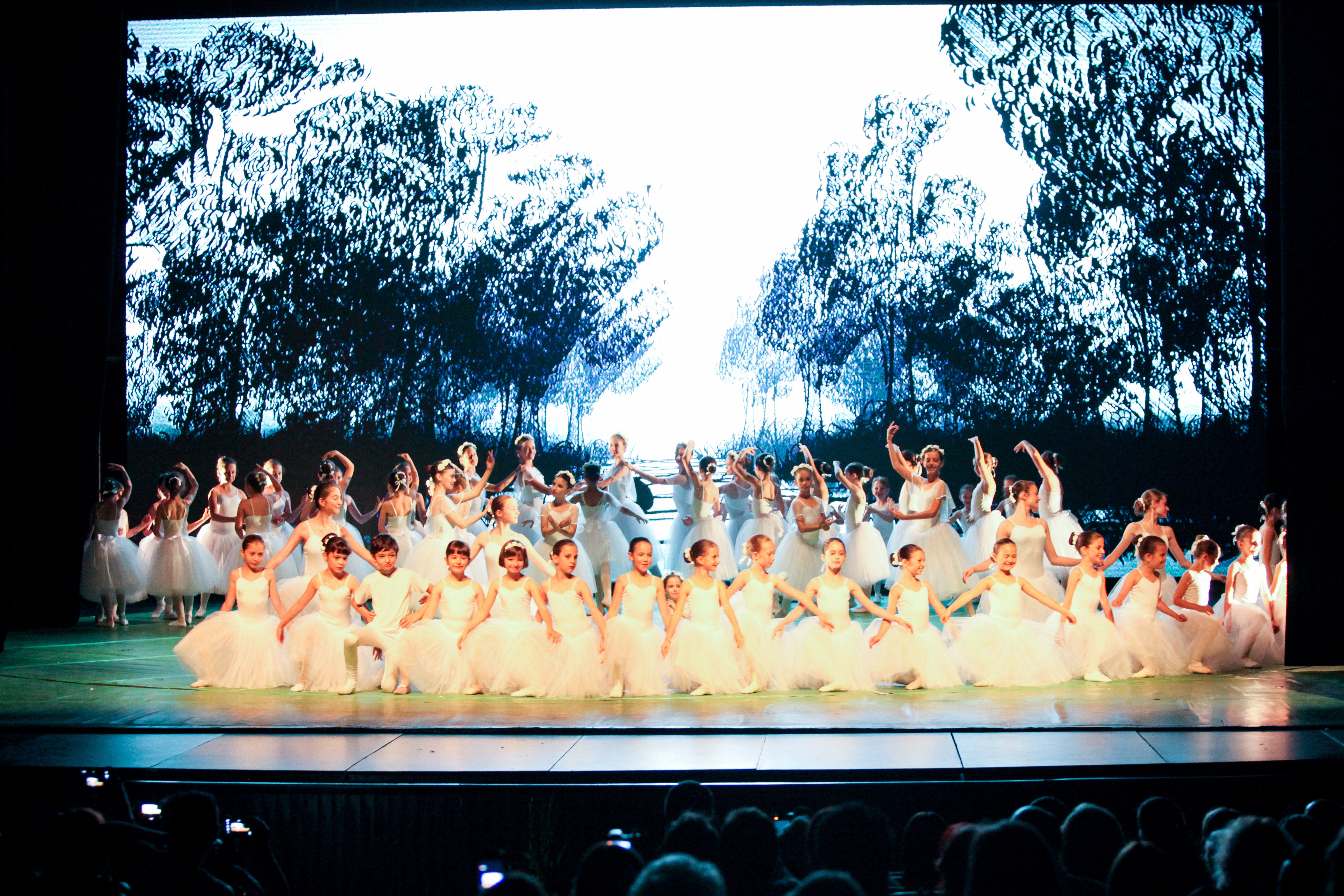 Ballet Art inițiază Campania ”Educație prin muzică și dans”